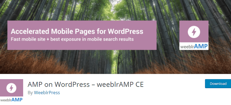 WordPress amp plugins three